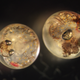 Embryo from a non-pollutant-resistant (left) versus pollutant-resistant (right) population, after exposure to pollution. The embryo on the right is faring better.